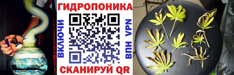 Как найти закладки Волхов ГАШ  Alpha-PVP  Меф мяу мяу 
