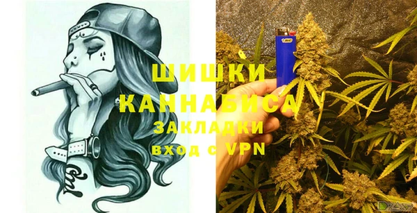 амф Саяногорск