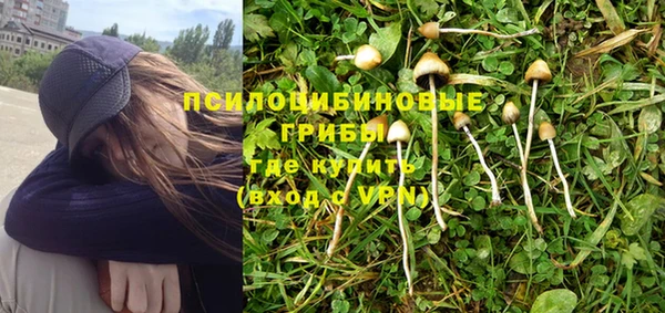 PSILOCYBIN Арсеньев