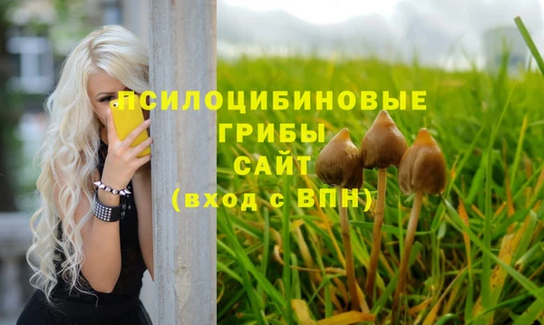 сатива Алексин