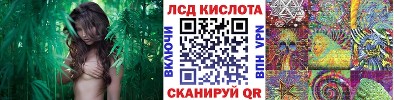 Марки N-bome 1,5мг Волхов